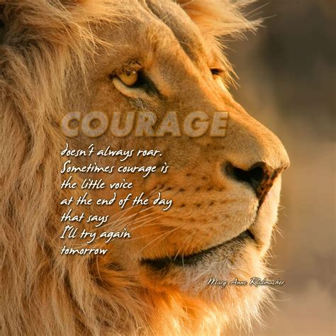 quote with lion|lion pictures with inspirational quotes.